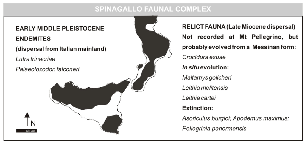 Geosciences 03 00114 g005 1024