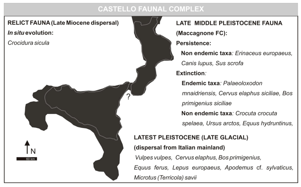Geosciences 03 00114 g008 1024