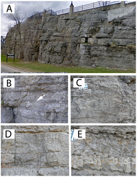Geosciences 03 00216 g008 200