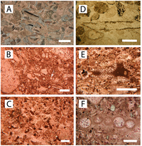 Geosciences 03 00216 g009 200