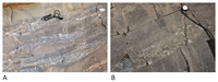 Geosciences 03 00389 g016 200
