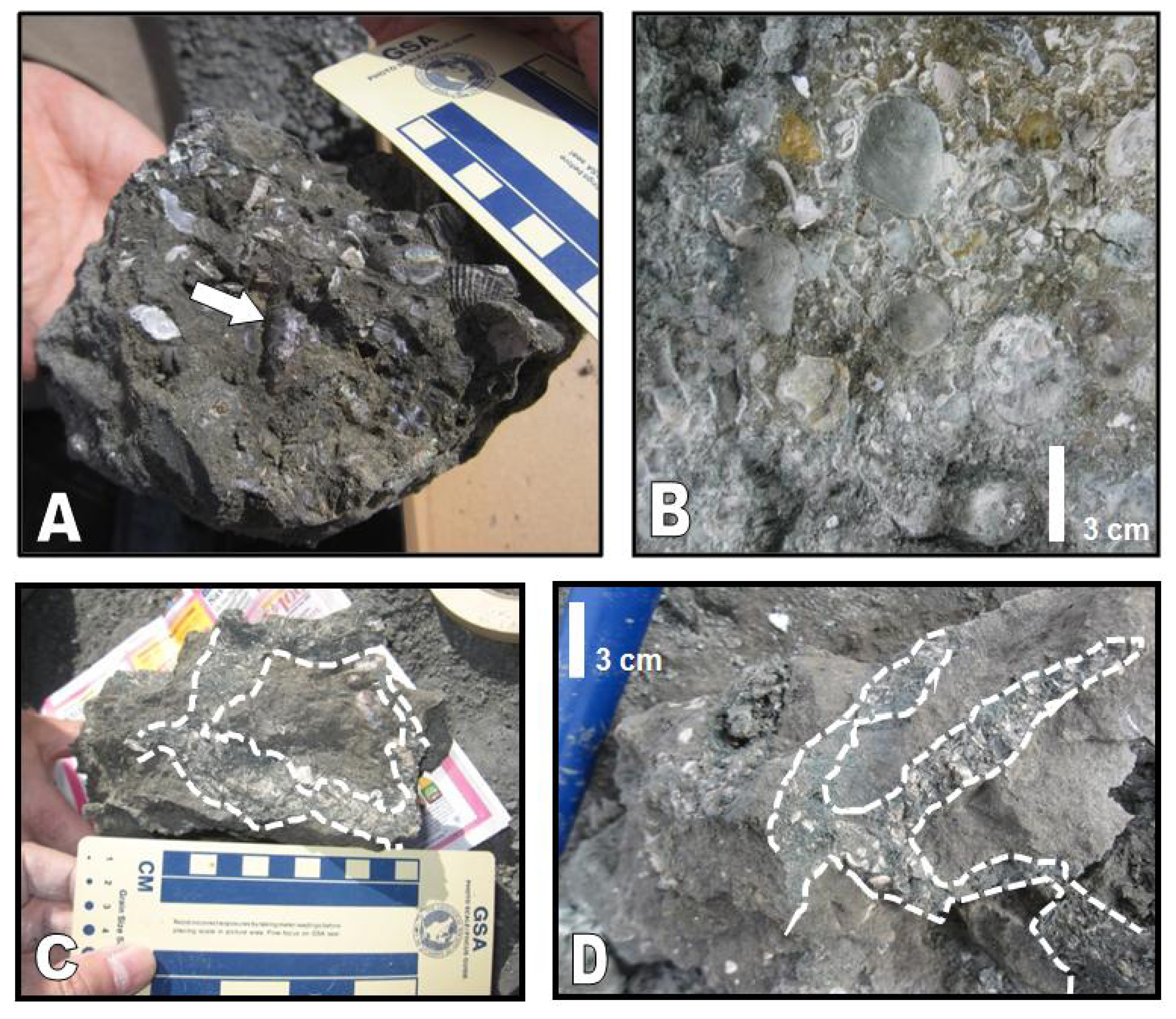 Geosciences 04 00001 g003