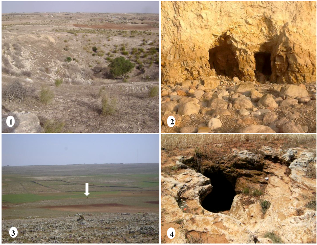 Geosciences 04 00050 g007 1024
