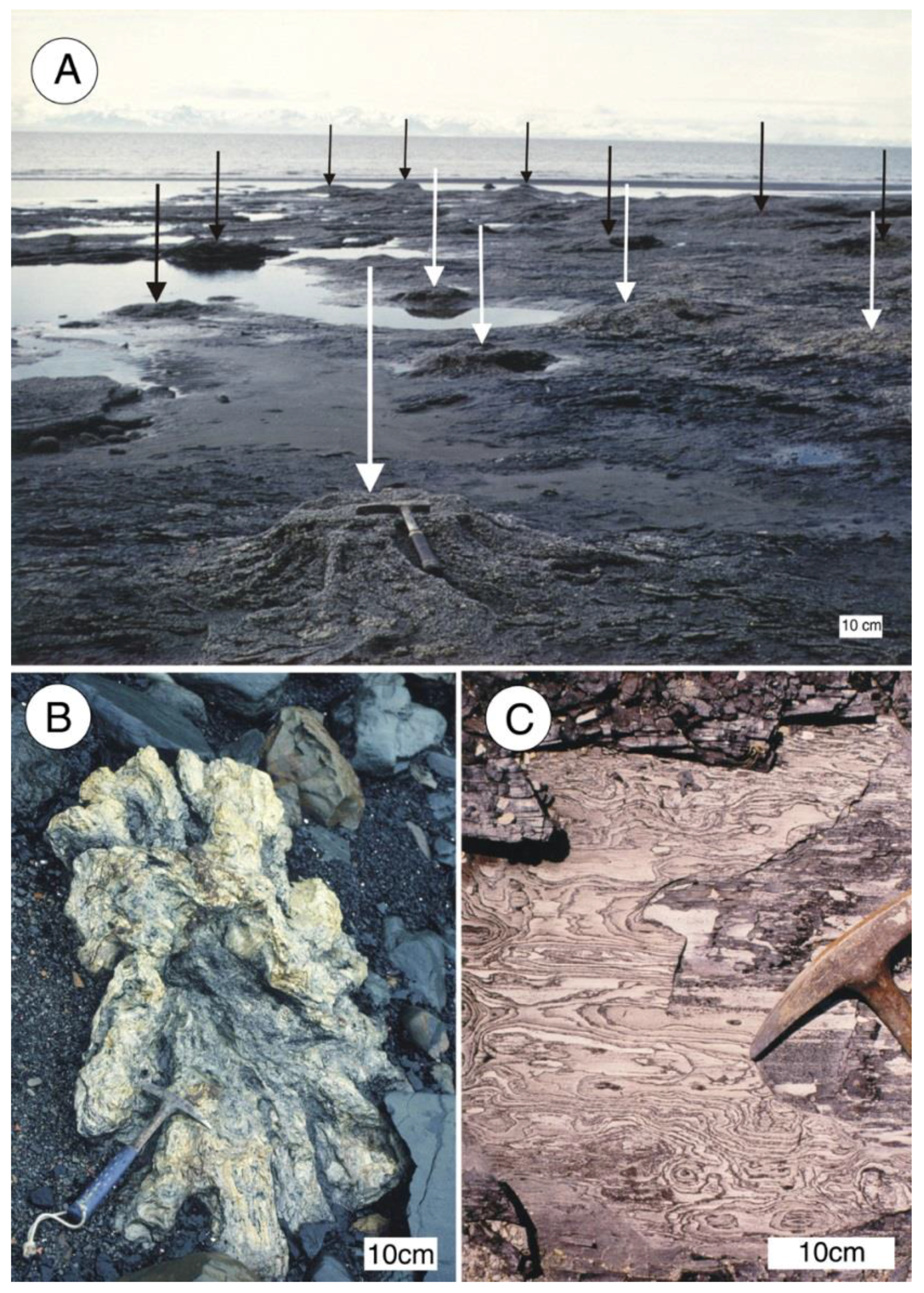 Geosciences 08 00085 g012