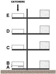 Geosciences 08 00284 i002
