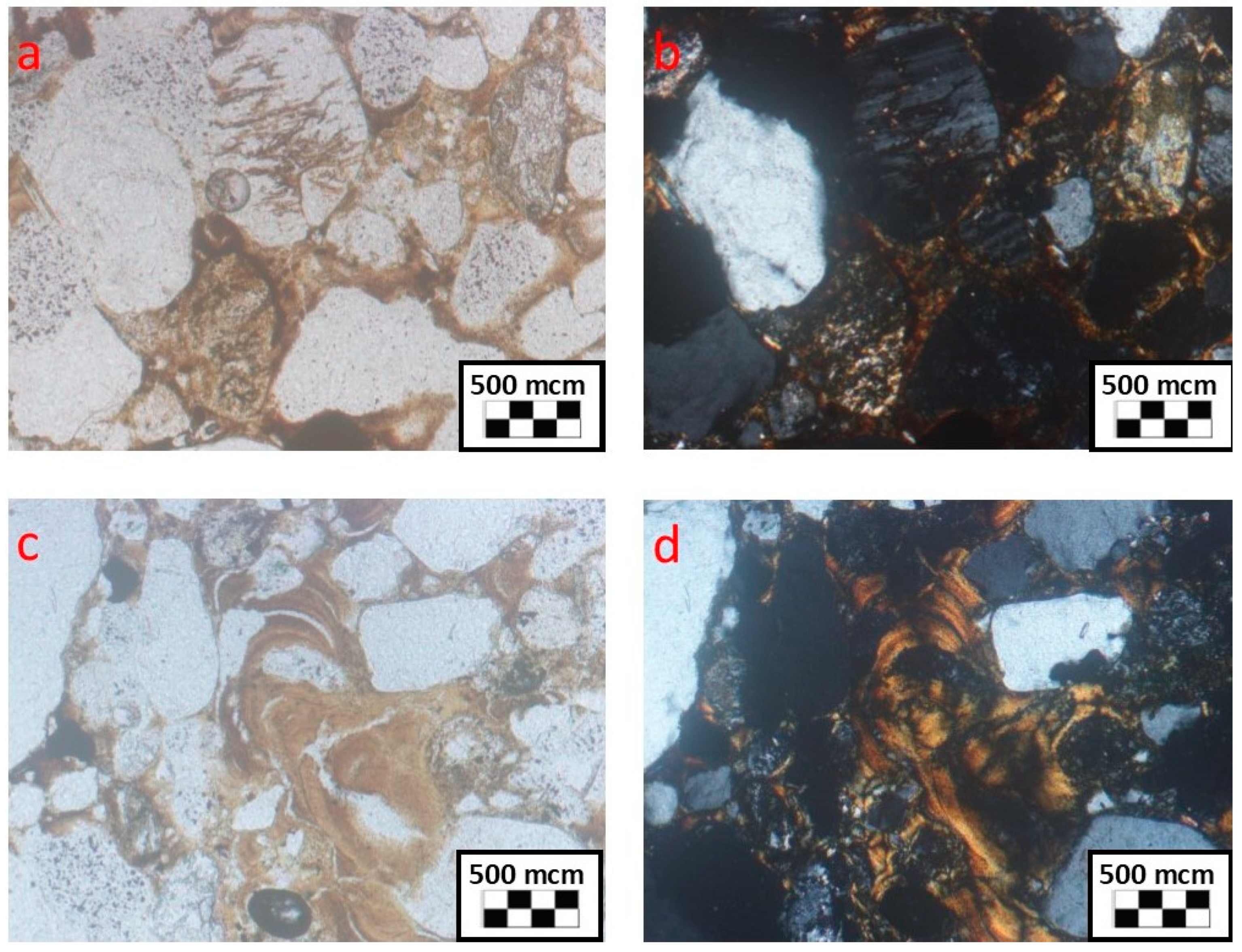 Geosciences 09 00082 g008