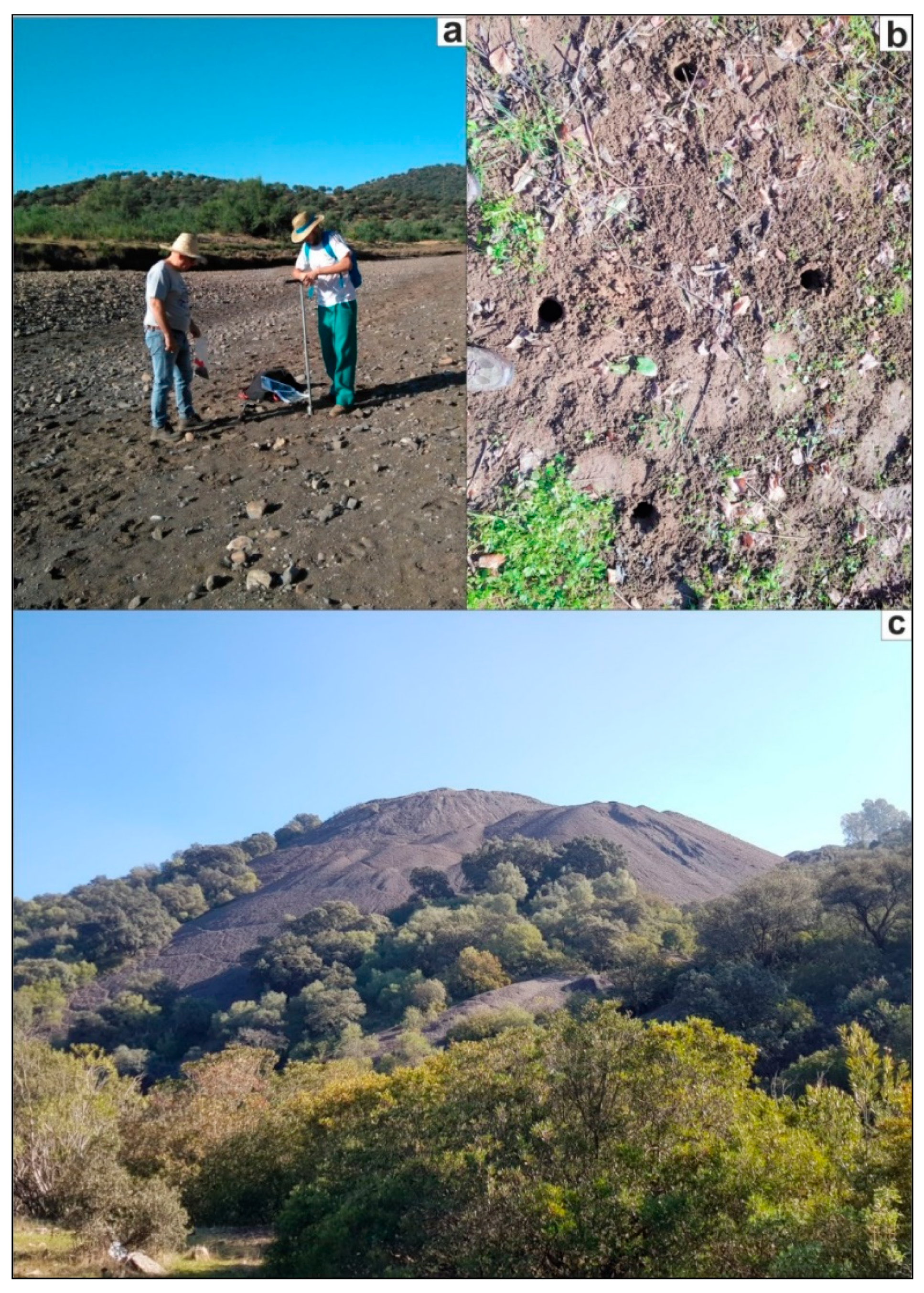 Geosciences 10 00391 g002