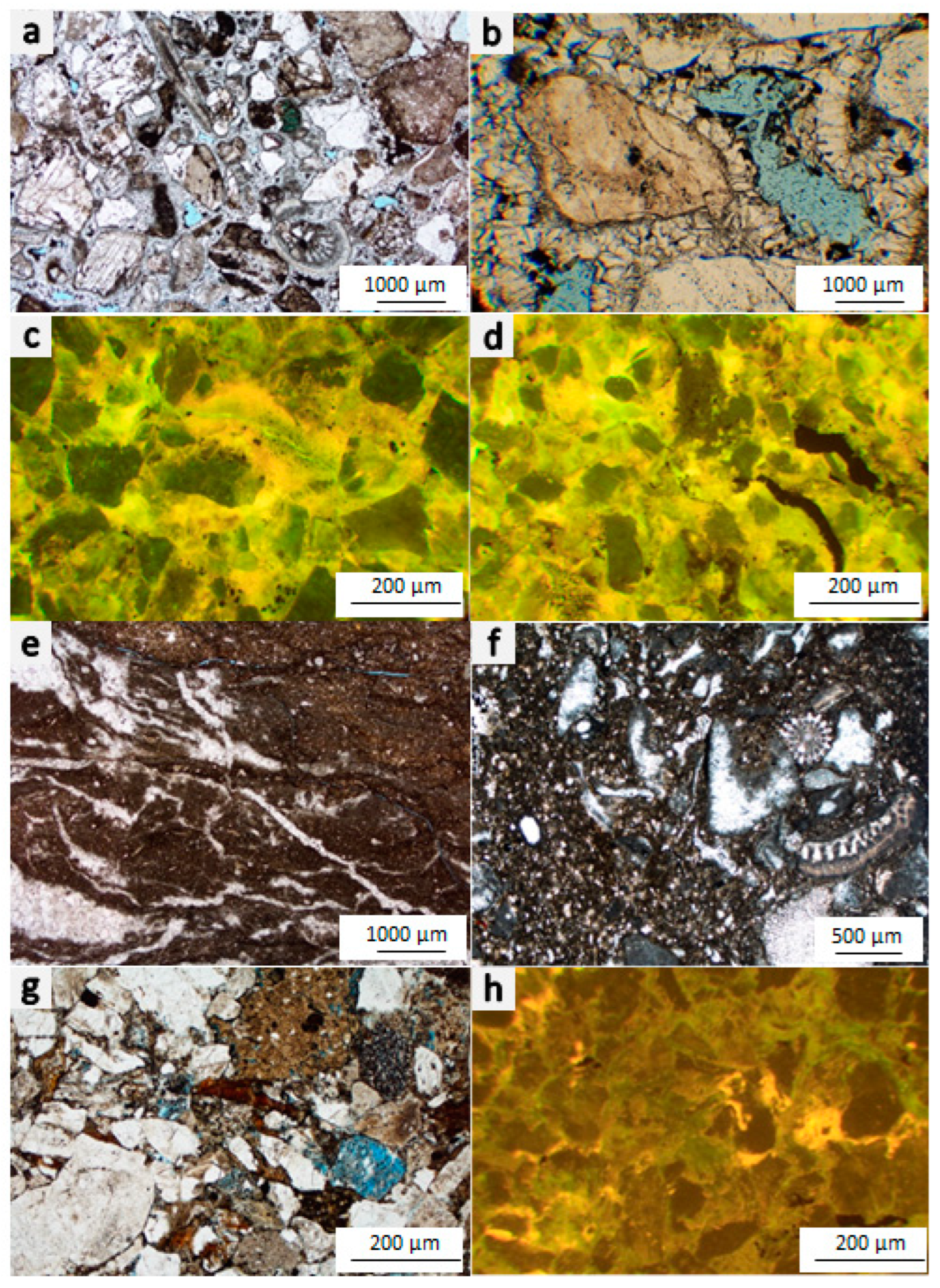 Geosciences 14 00119 g009