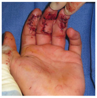Healthcare 02 00125 g004 200