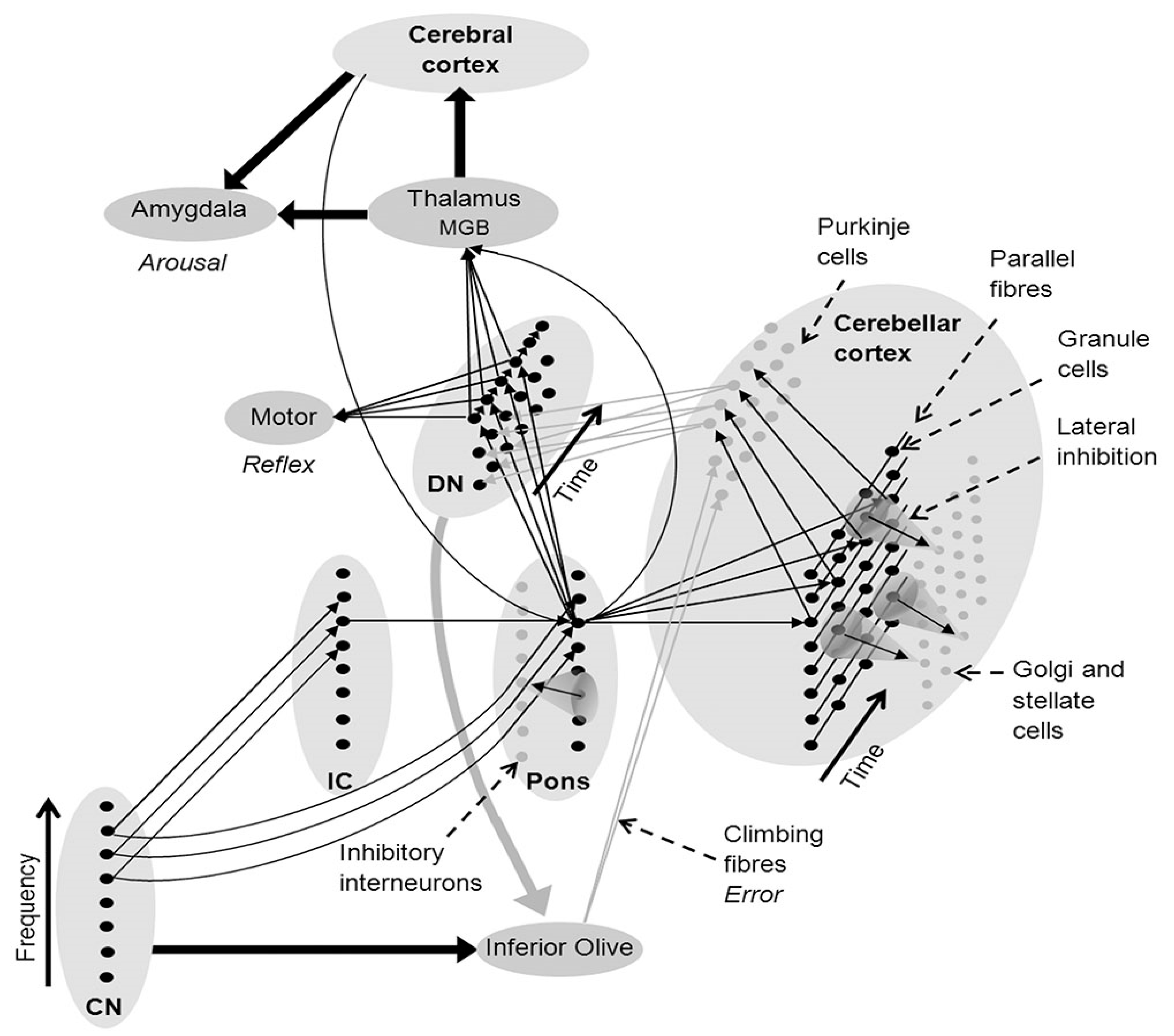 Healthcare 10 02207 g001