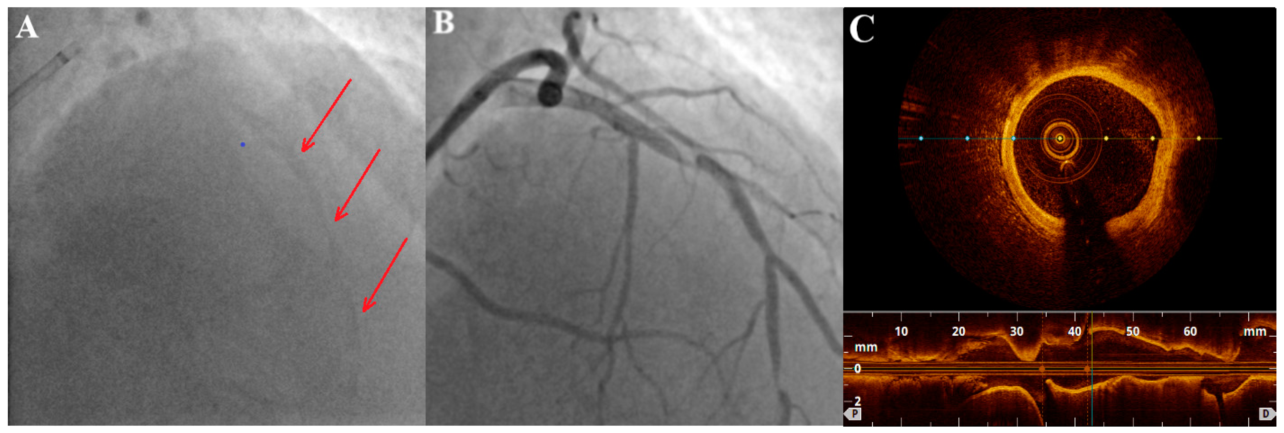 Healthcare 12 00520 g001