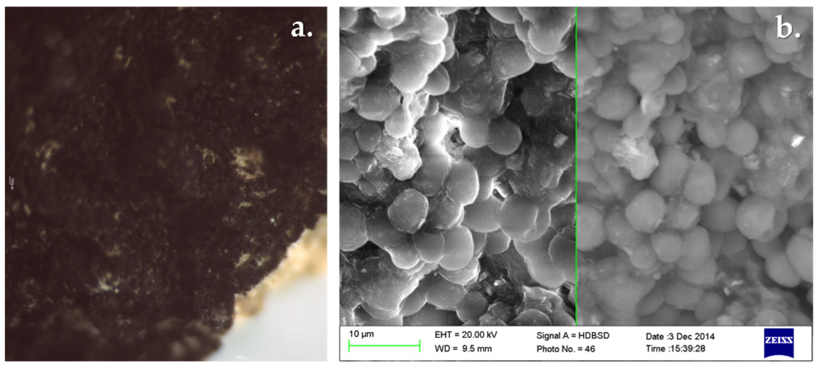 Heritage 06 00341 g009