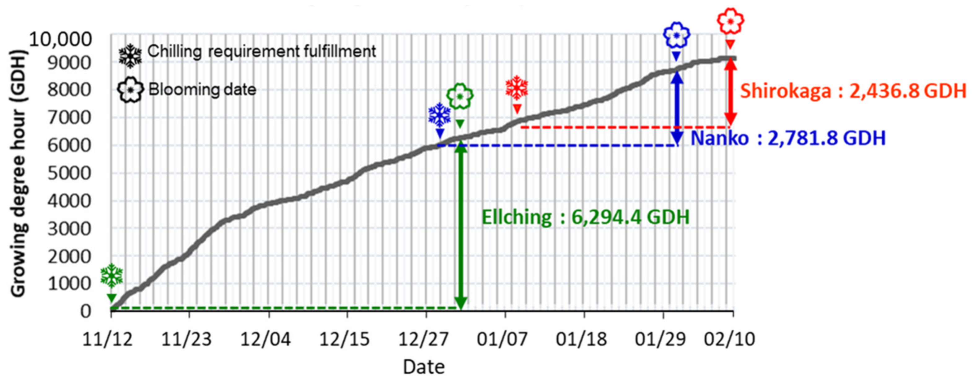 Horticulturae 07 00142 g004
