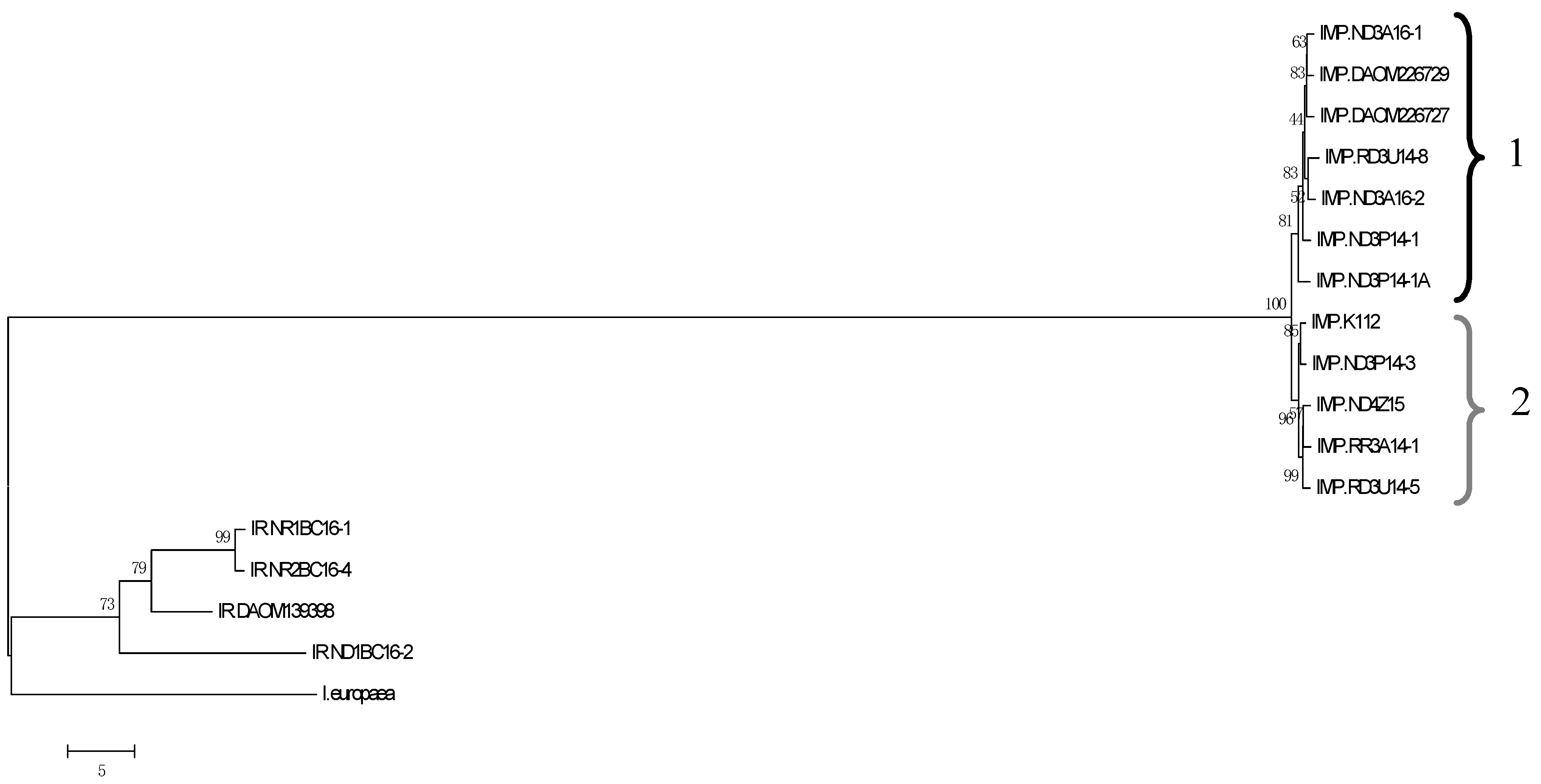 Horticulturae 09 00713 g001