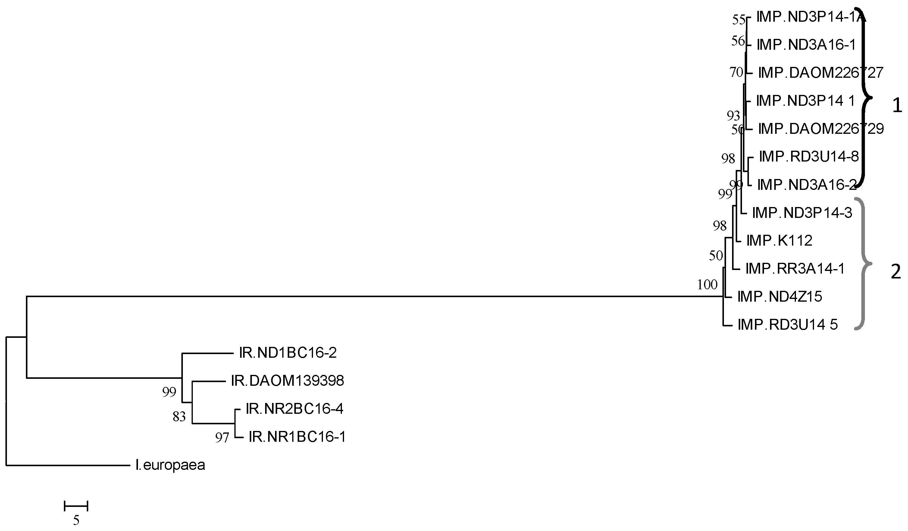 Horticulturae 09 00713 g004