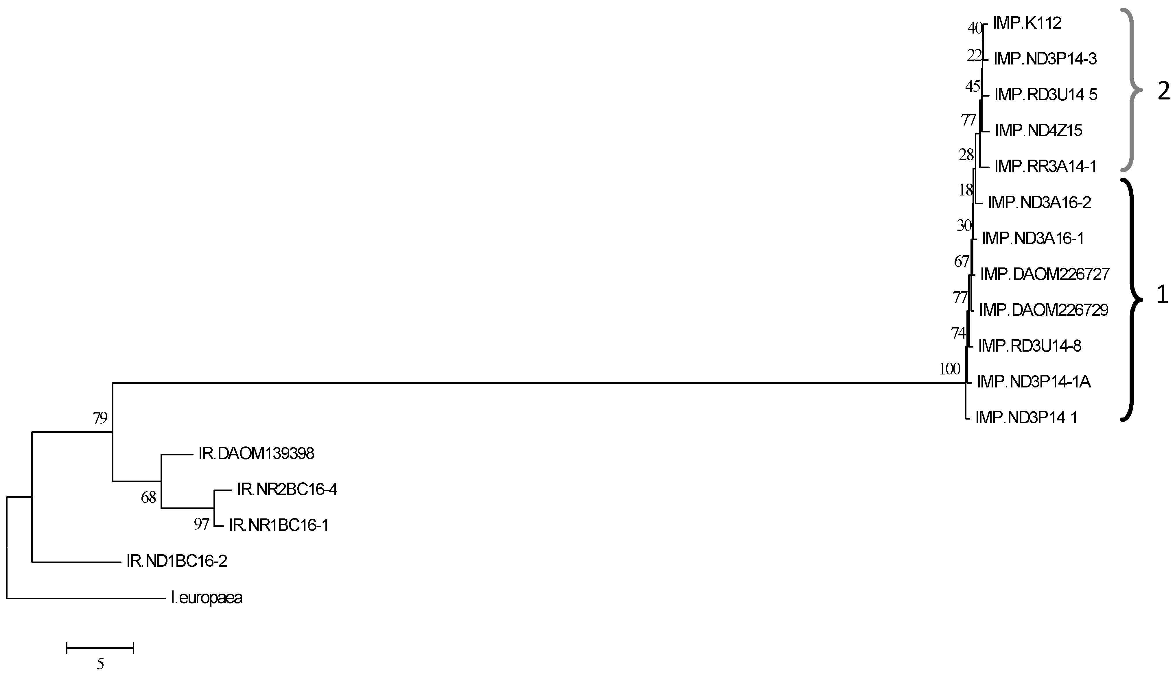 Horticulturae 09 00713 g006