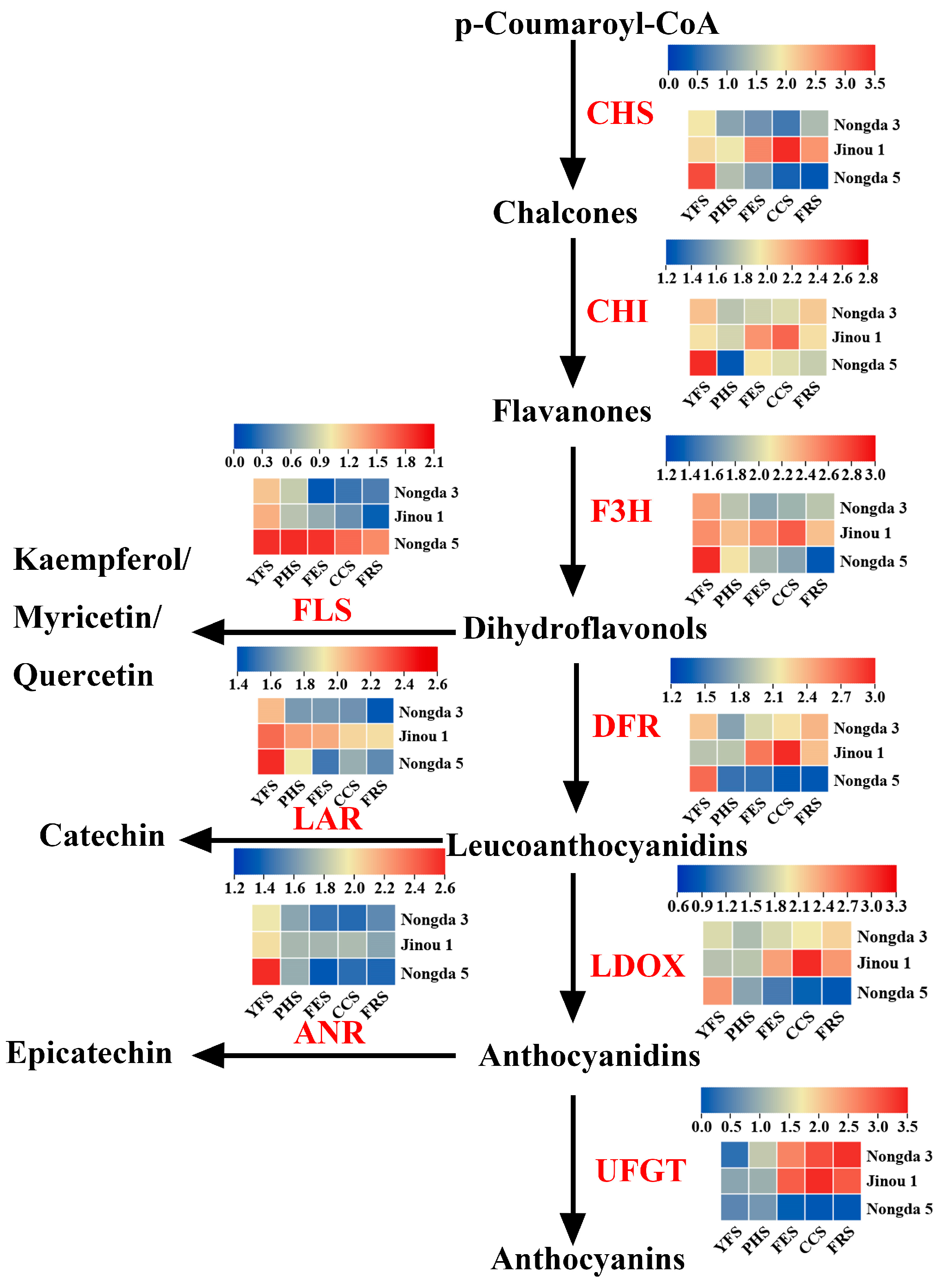 Horticulturae 09 01040 g003