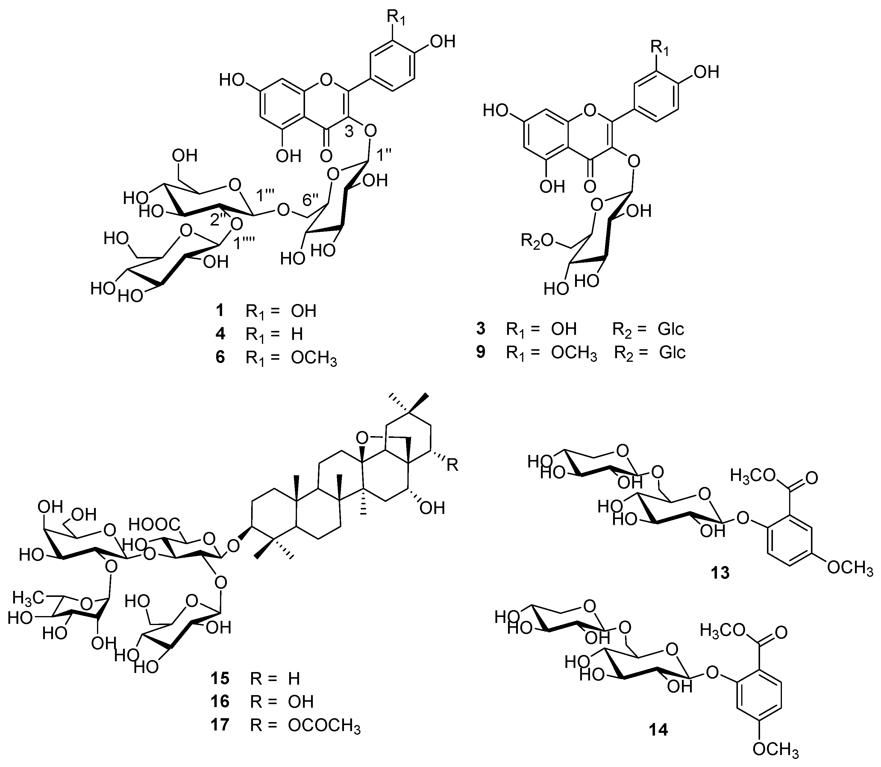 Horticulturae 09 01120 g001