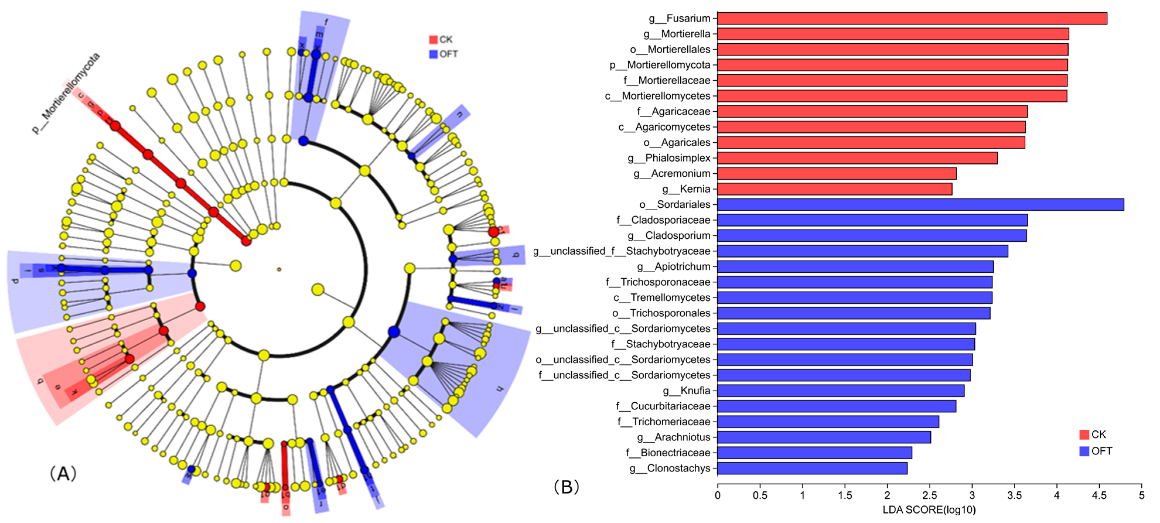 Horticulturae 09 01303 g006