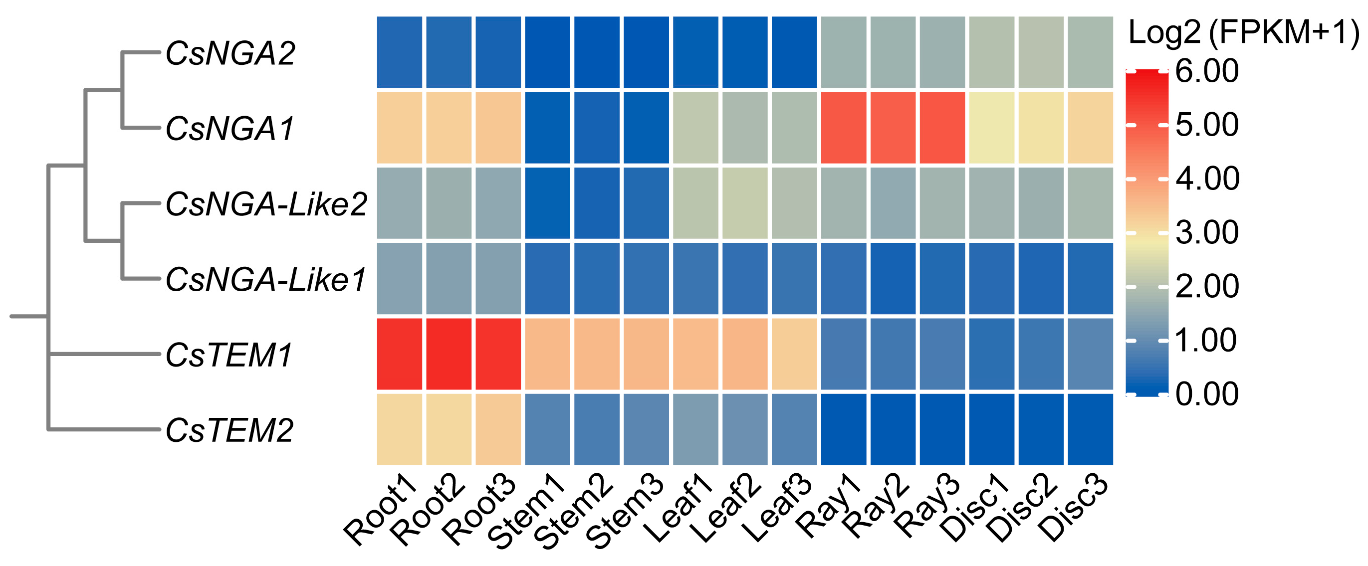 Horticulturae 09 01316 g006