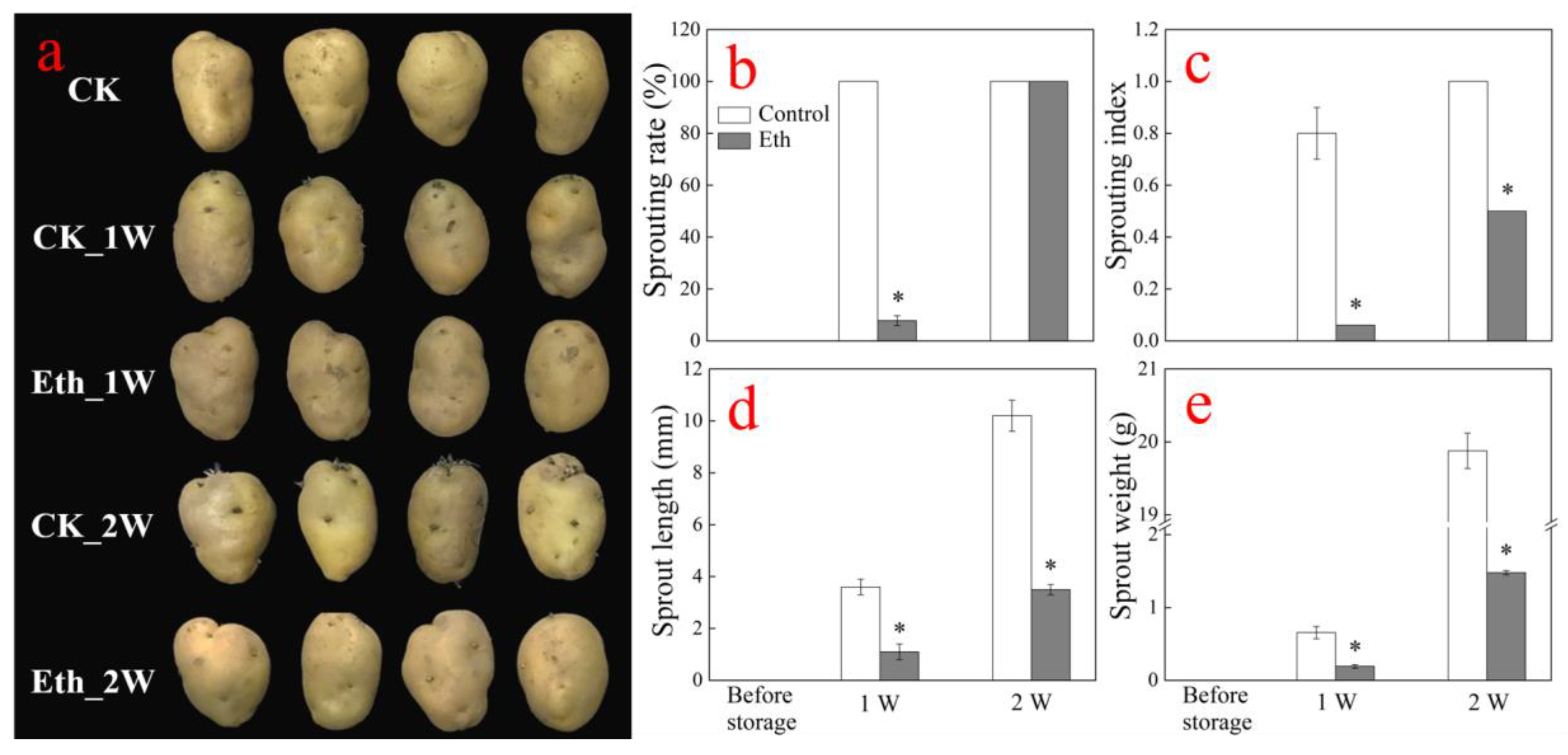 Horticulturae 10 00286 g001