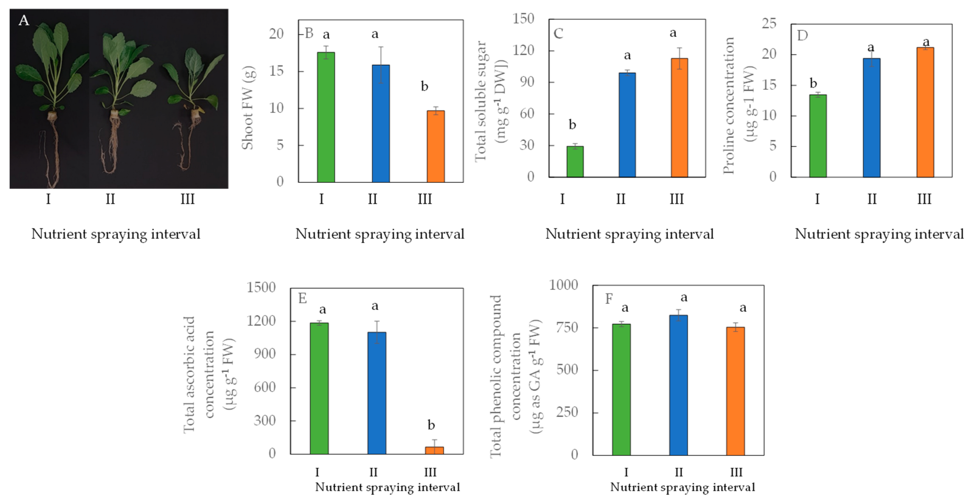 Horticulturae 10 00306 g004