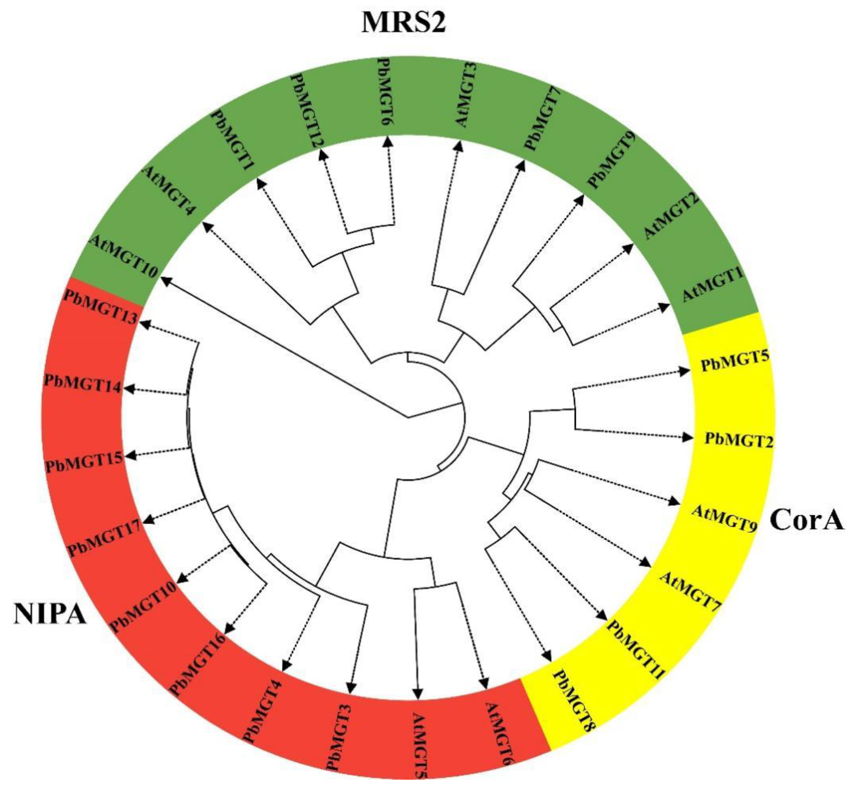Horticulturae 10 00333 g003
