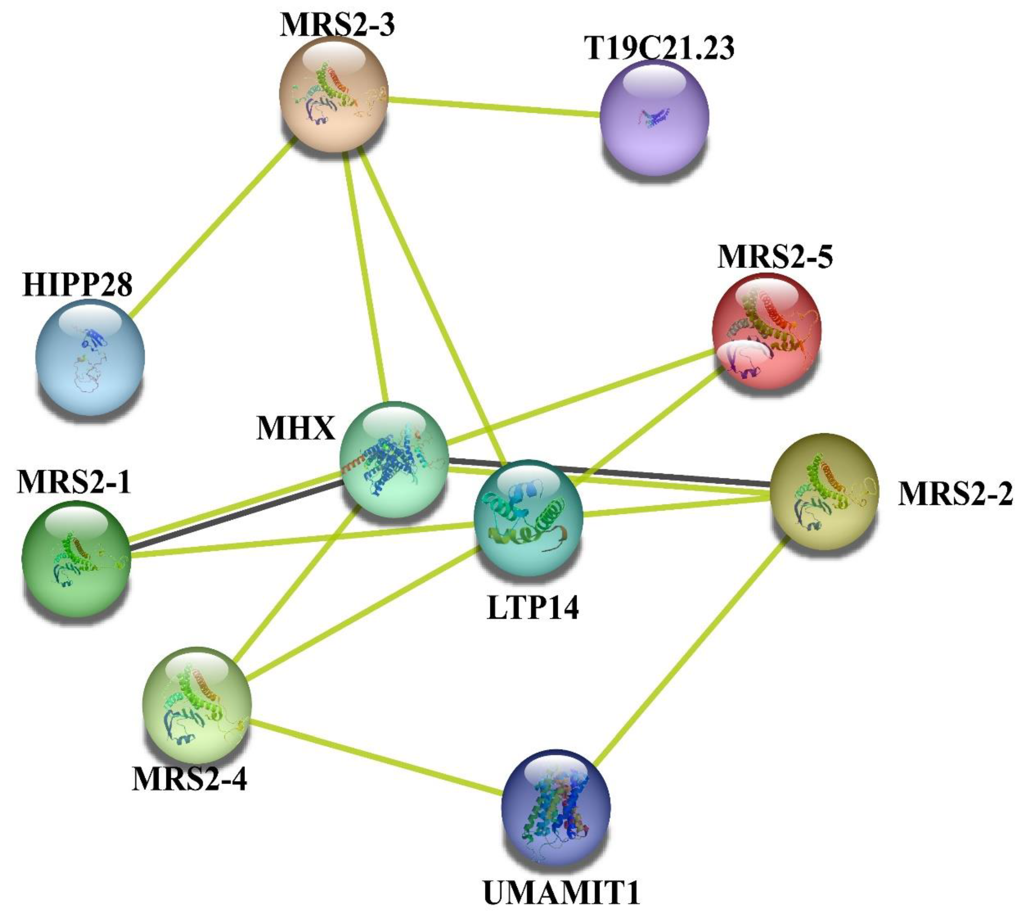 Horticulturae 10 00333 g008