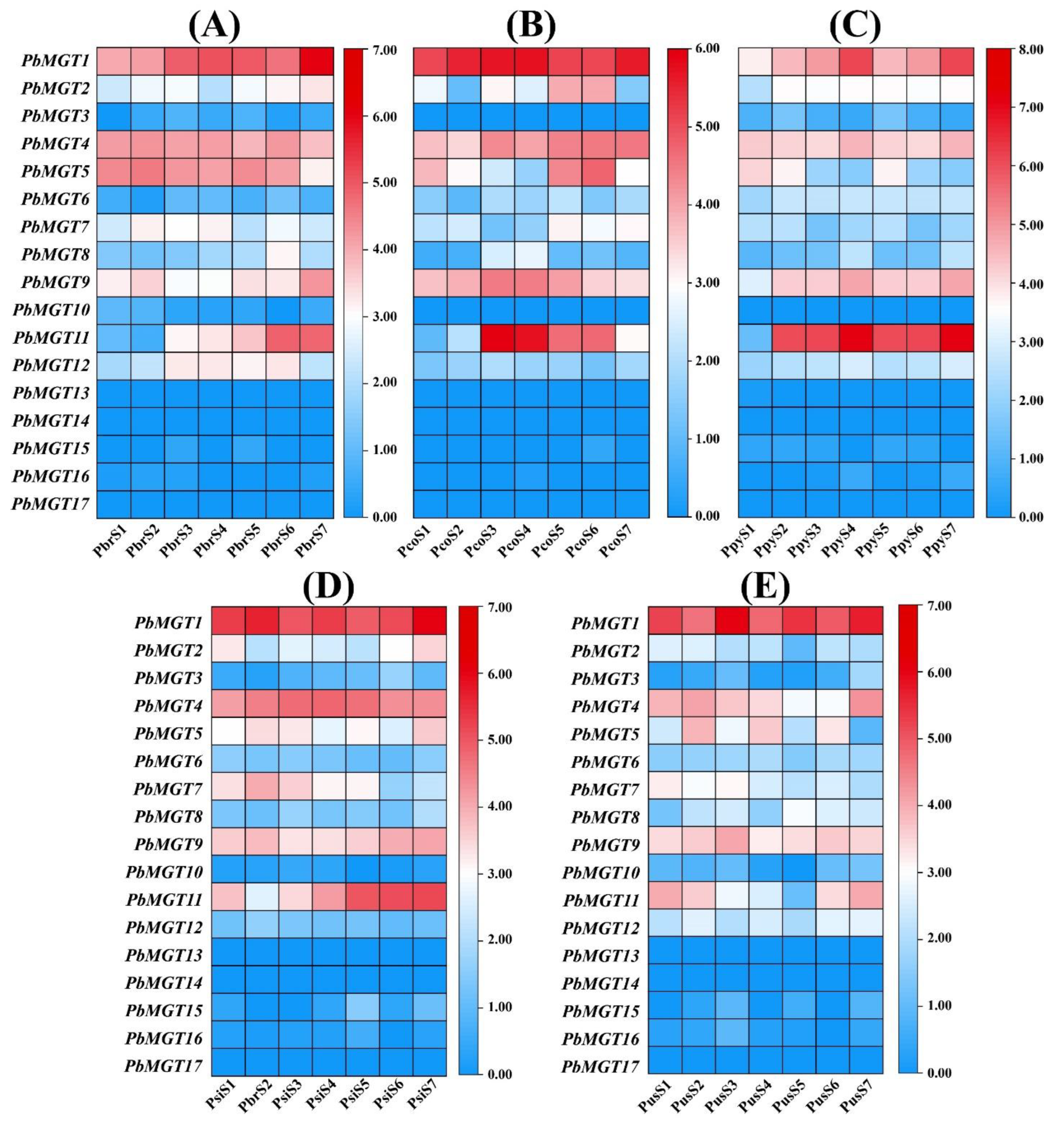 Horticulturae 10 00333 g013