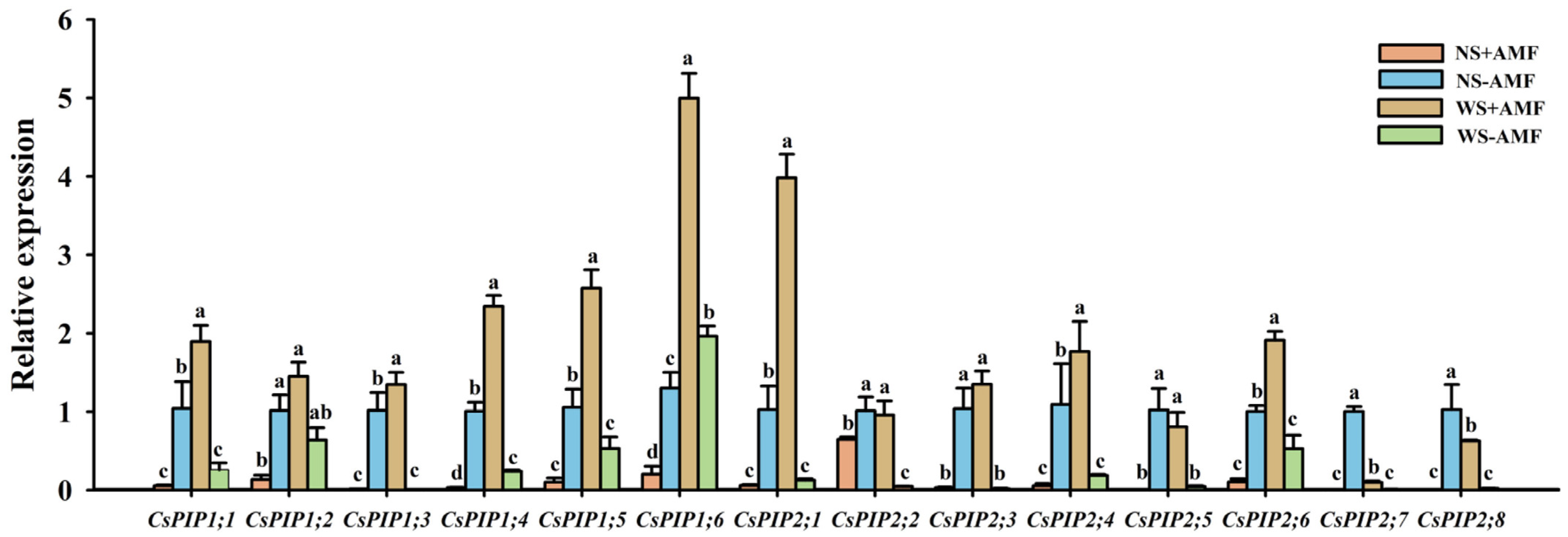Horticulturae 10 00478 g005