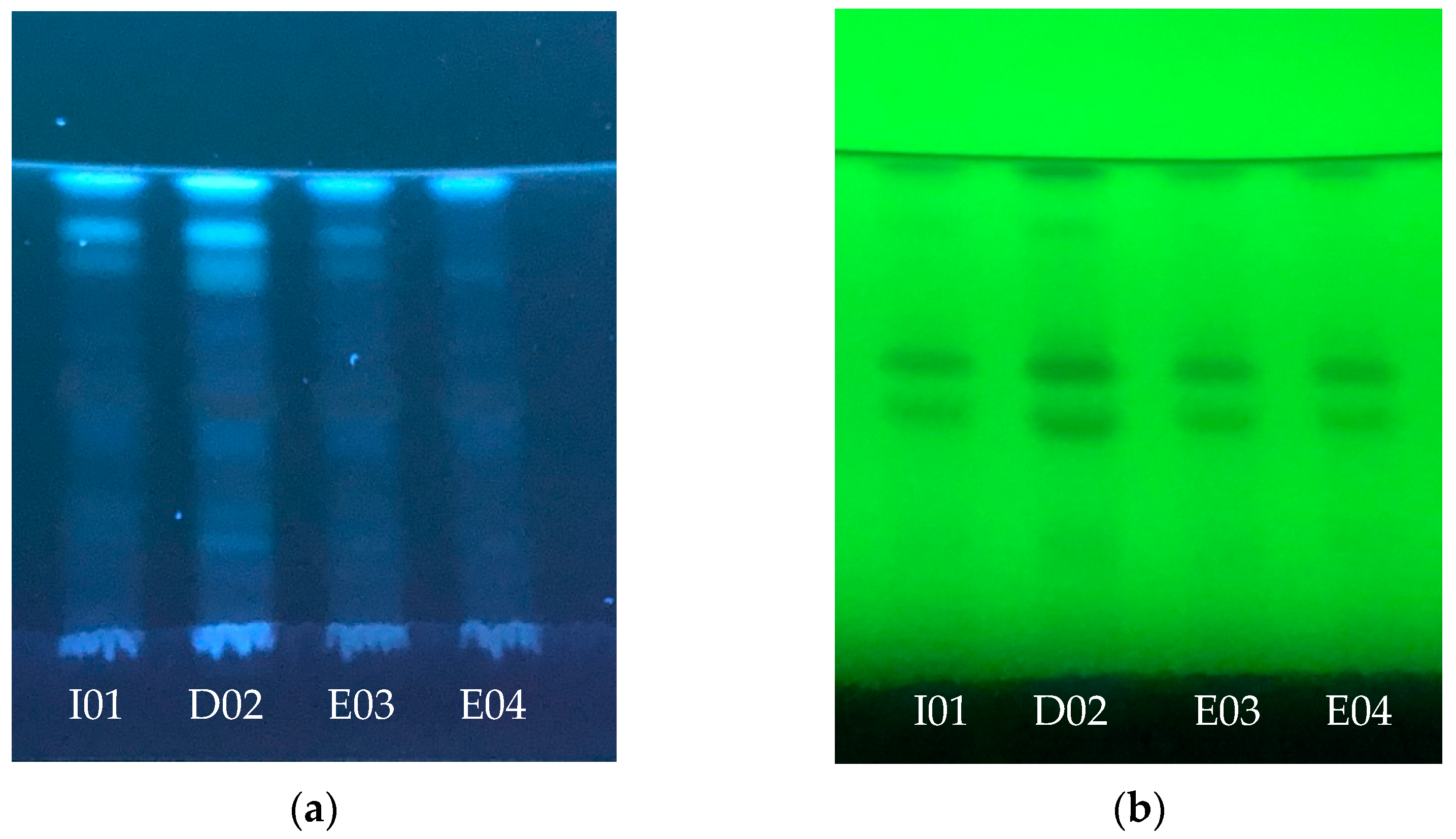 Horticulturae 10 00504 g005