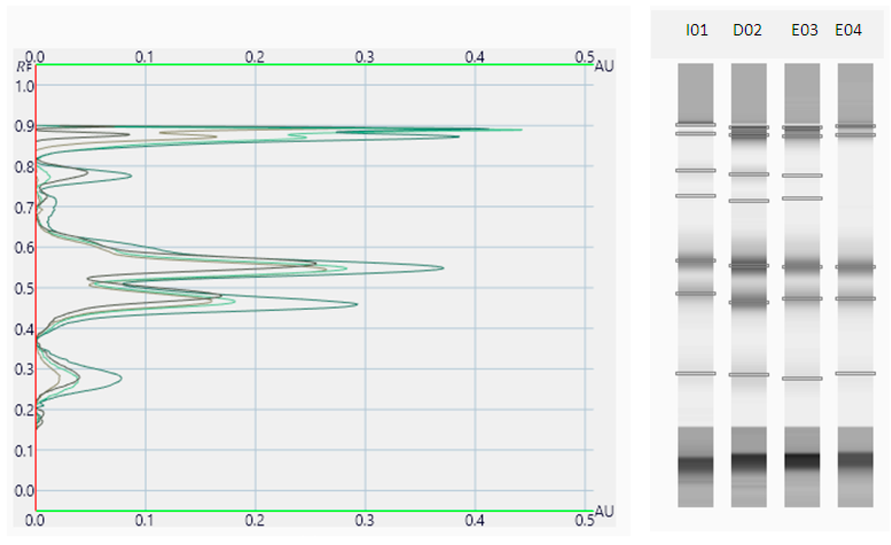 Horticulturae 10 00504 g006