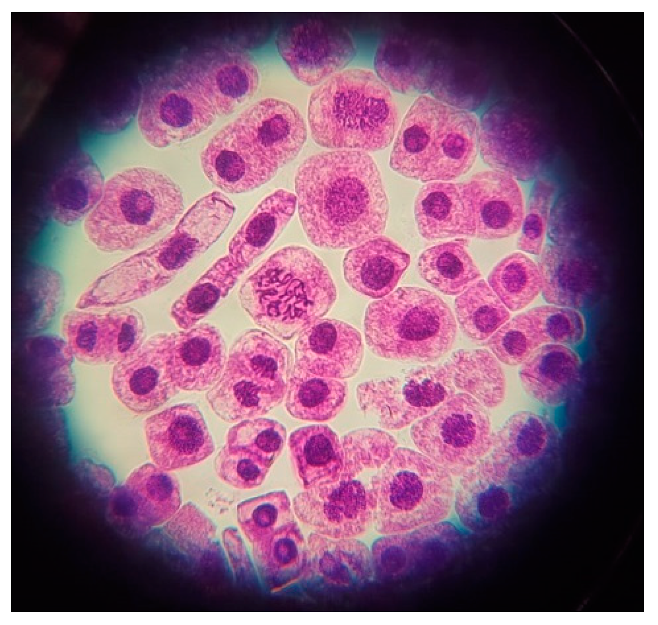 Horticulturae 10 00504 g008