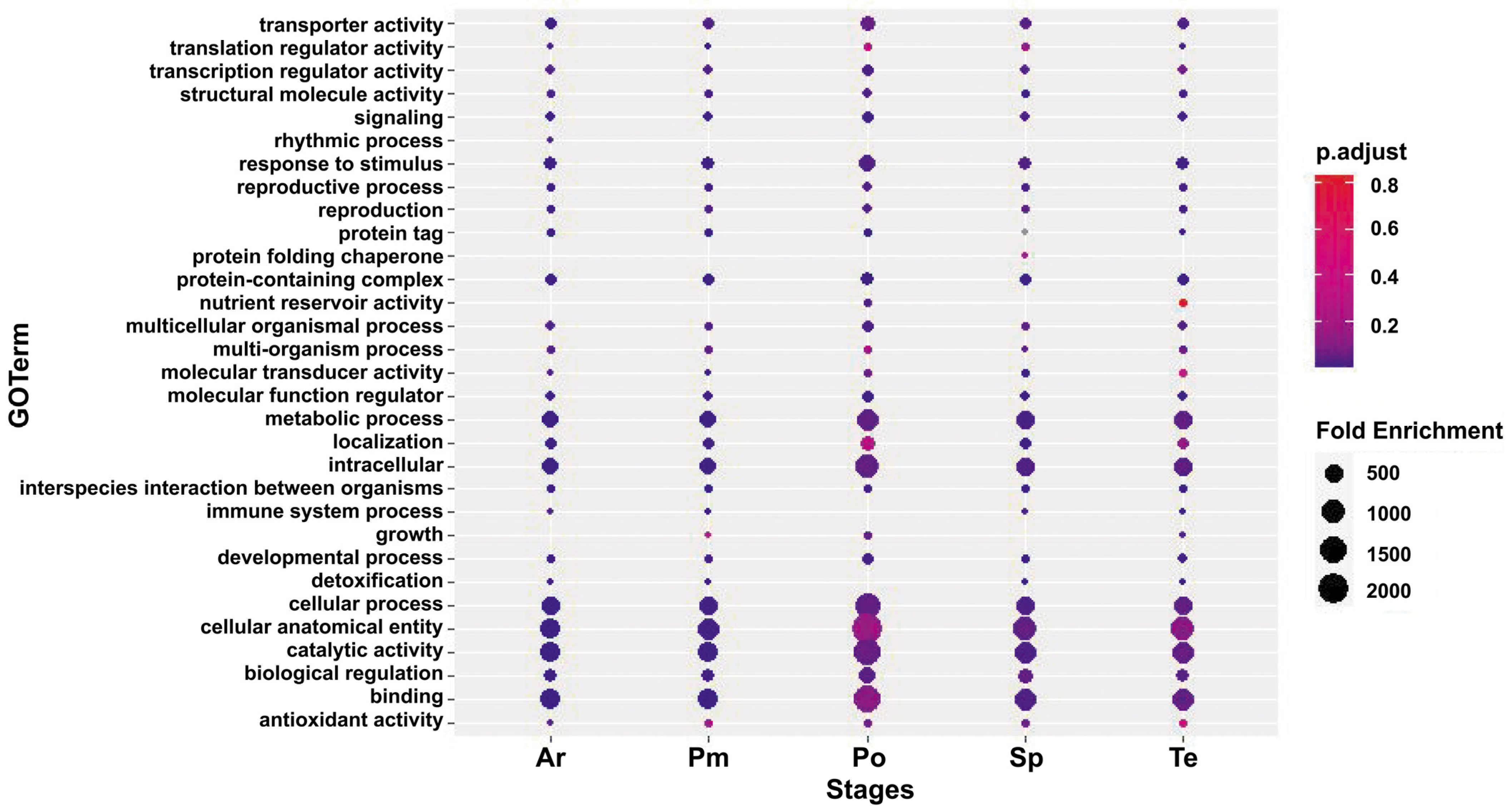 Horticulturae 10 00512 g002