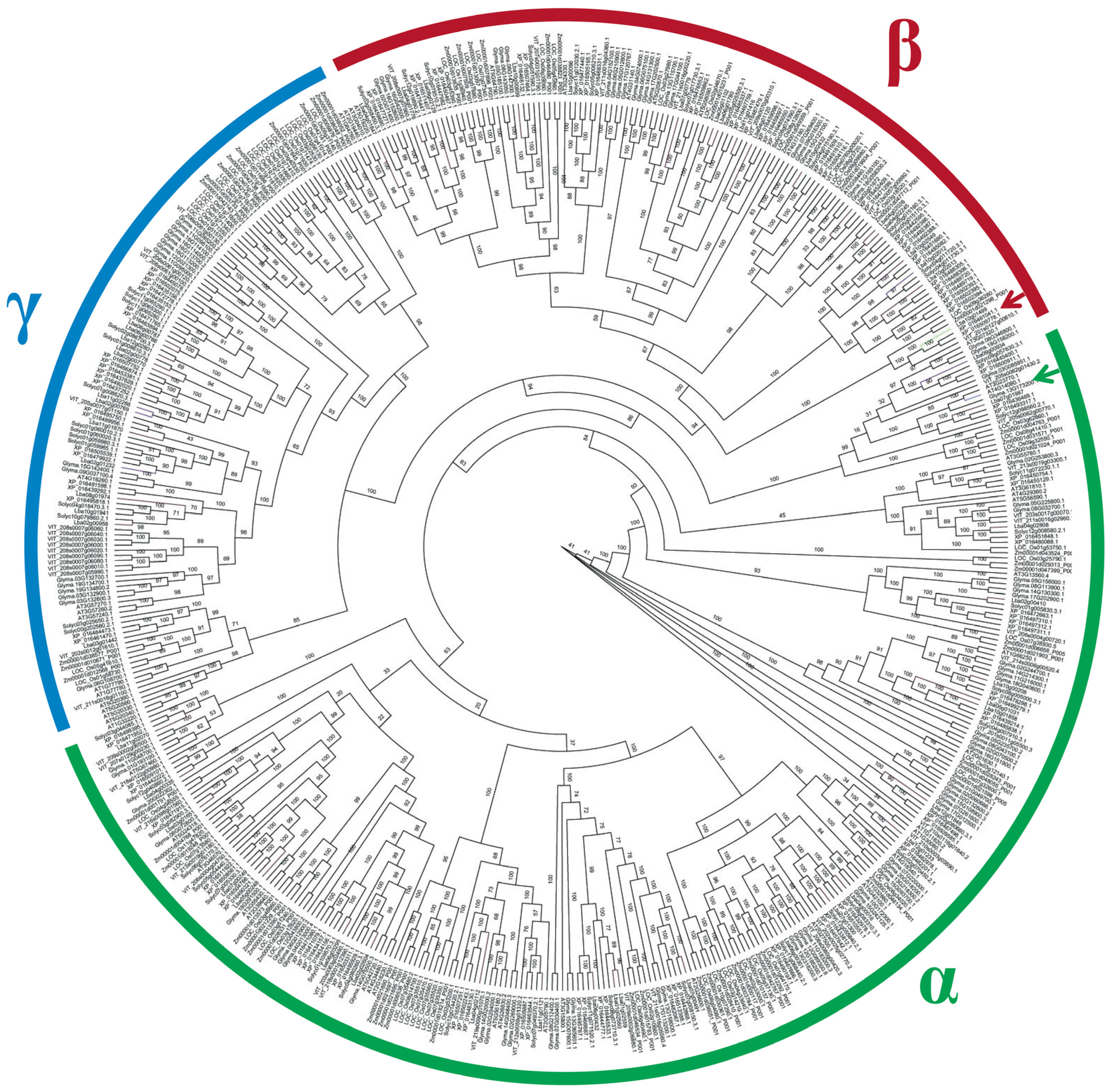 Horticulturae 10 00512 g006
