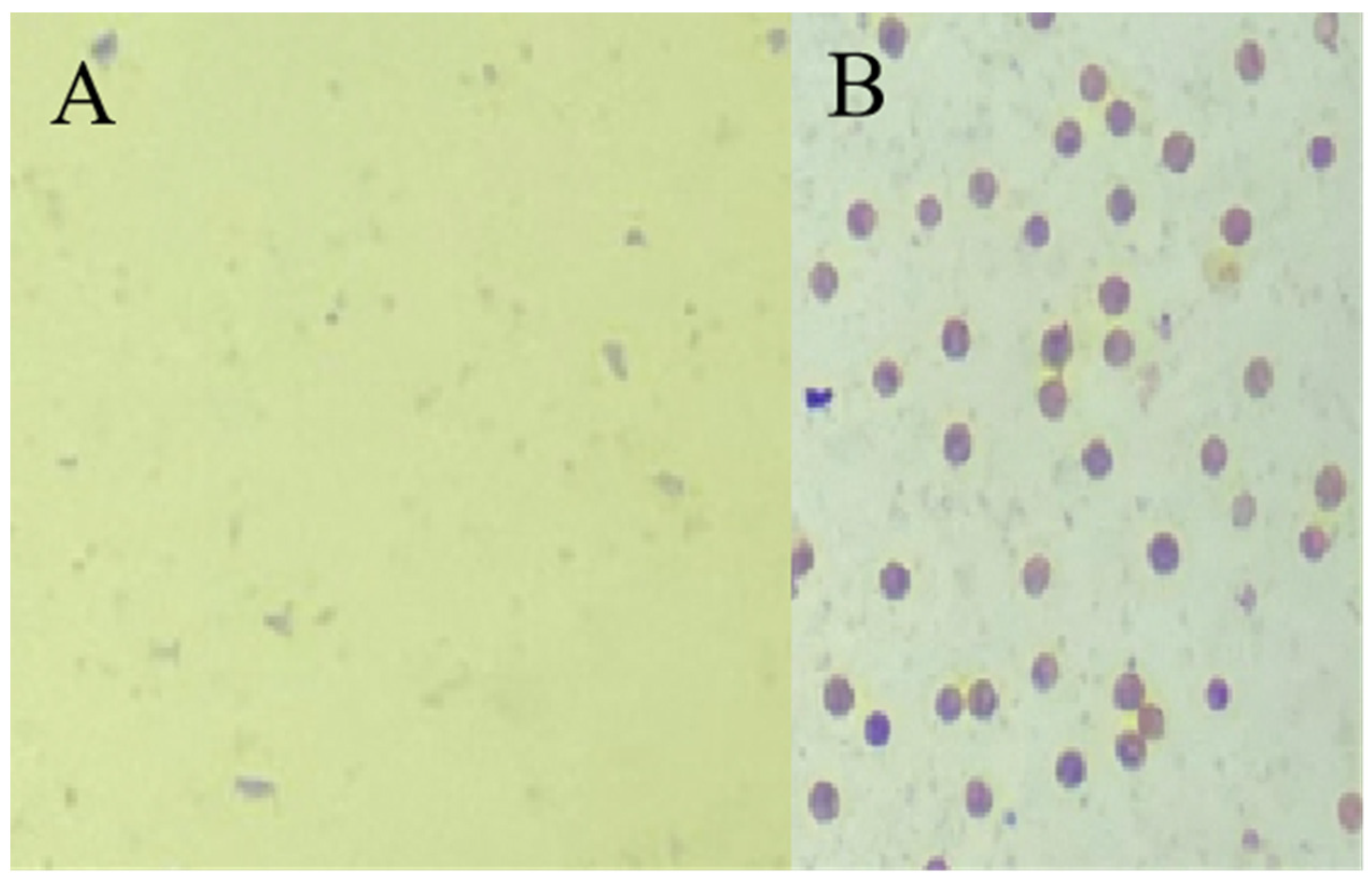 Horticulturae 10 00512 g0a1