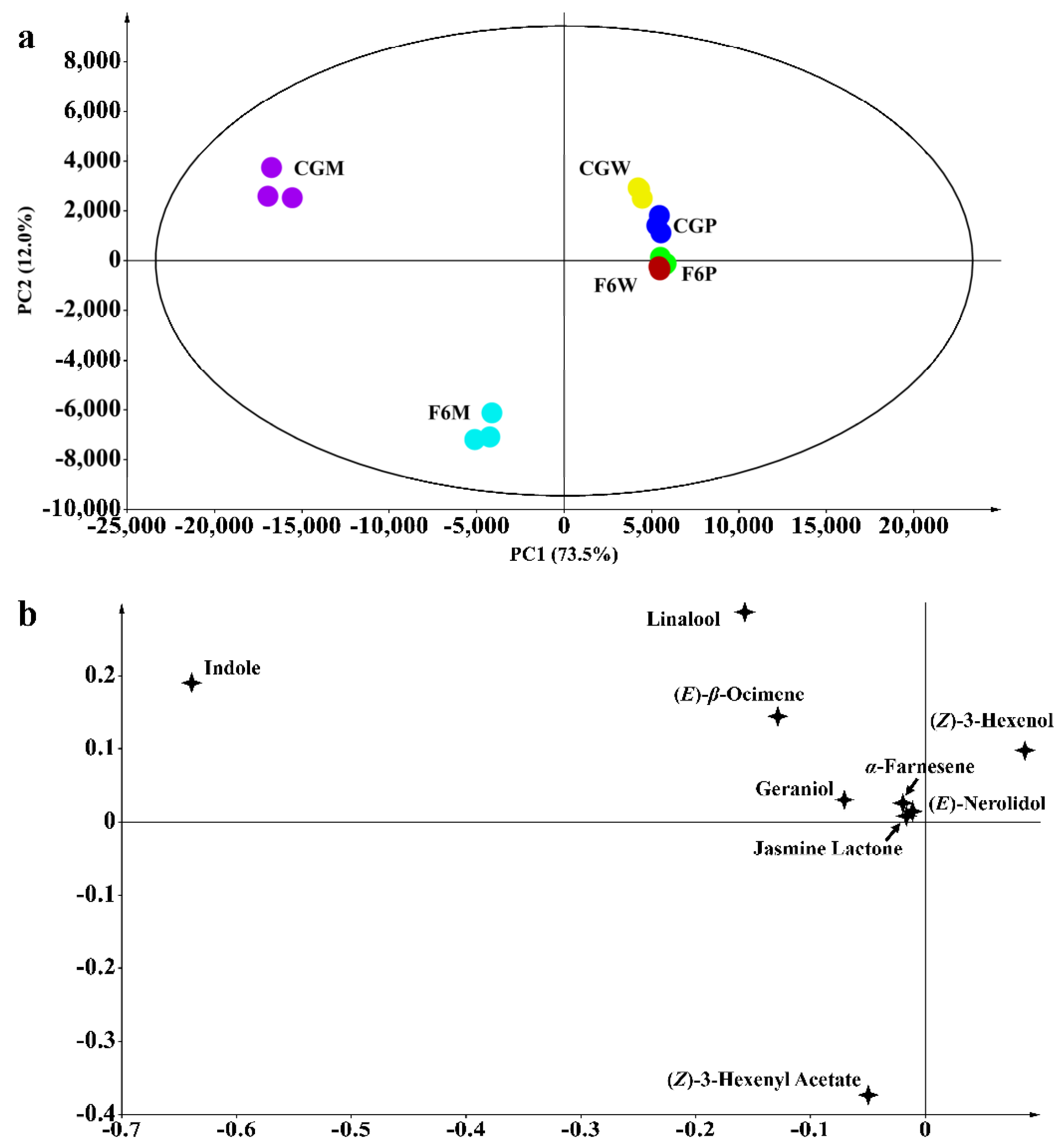 Horticulturae 10 00520 g001