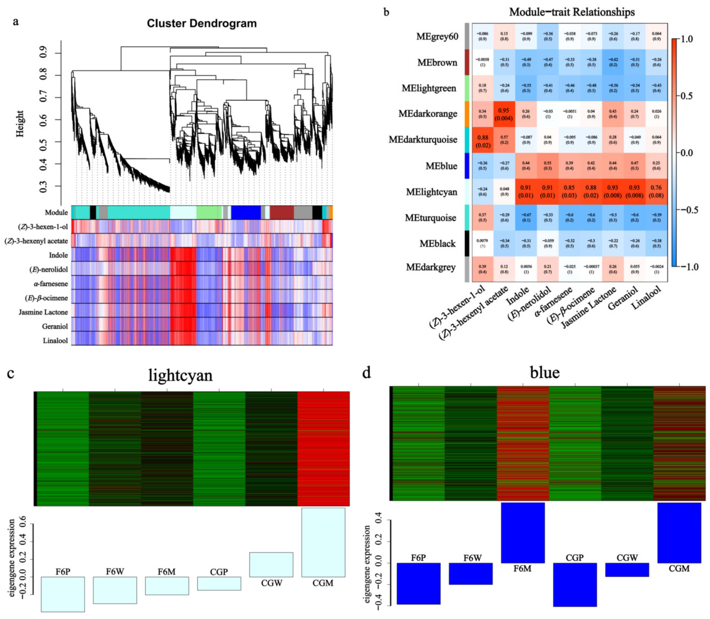 Horticulturae 10 00520 g007