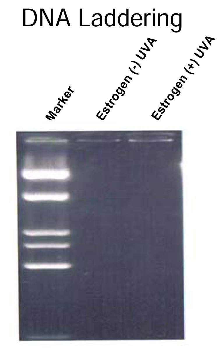 Ijerph 02 00156f7