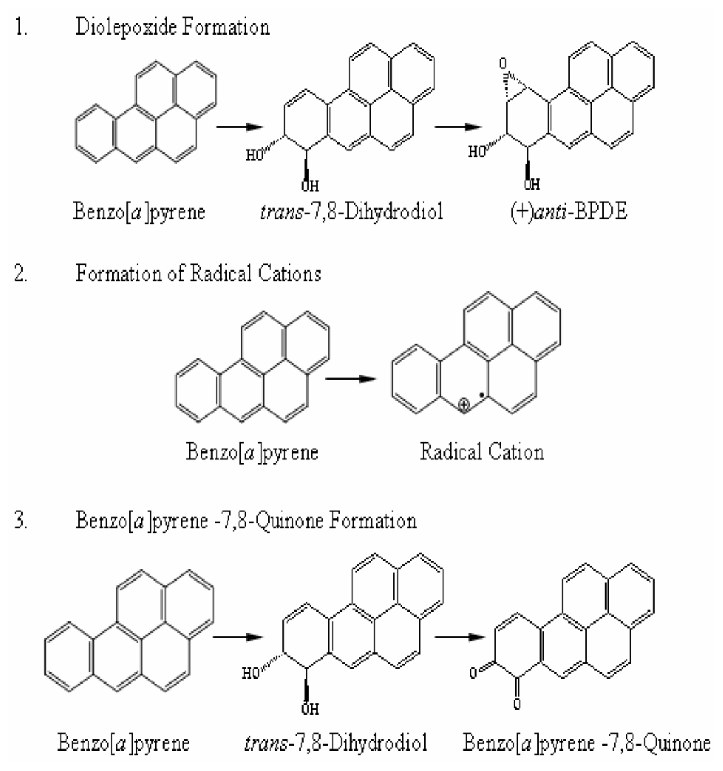 Ijerph 03 00348f1 1024