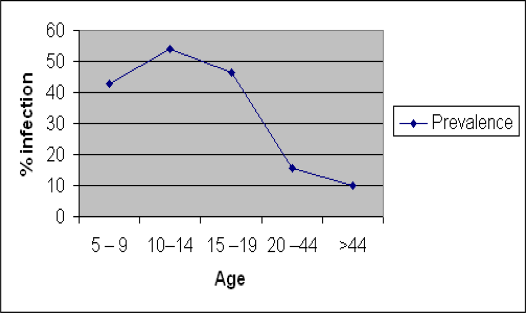 Ijerph 04 00101f1 1024