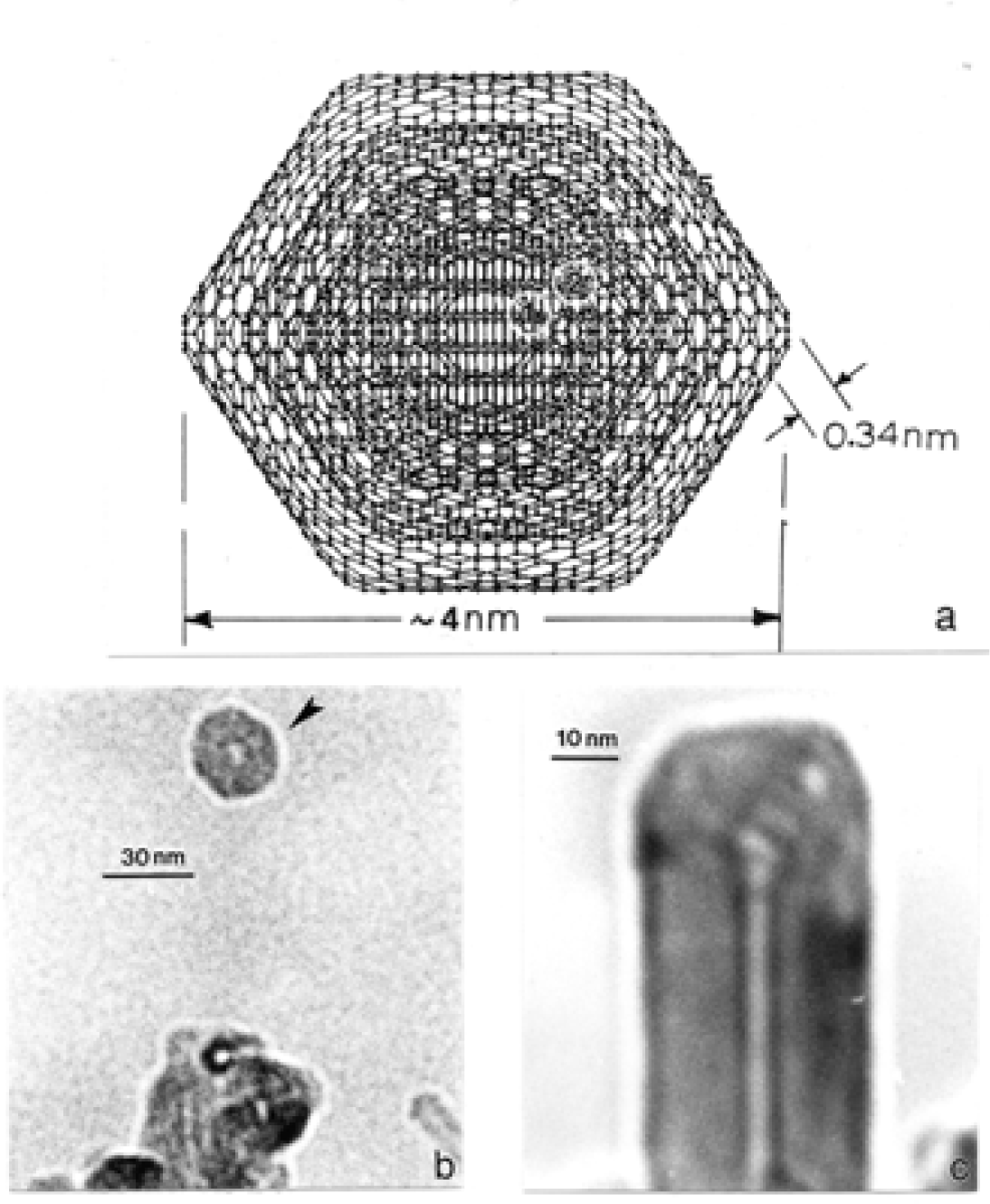 Ijerph 05 00321f11