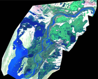 Ijerph 05 00464f6 200