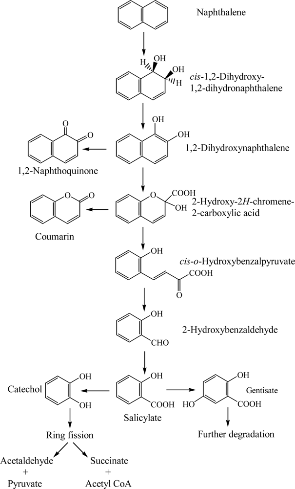 download elementary physicochemical