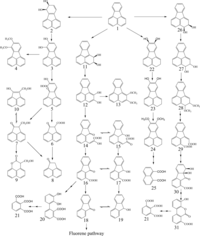 Ijerph 06 00278f4 200