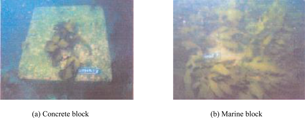 Ijerph 07 00203f21 1024