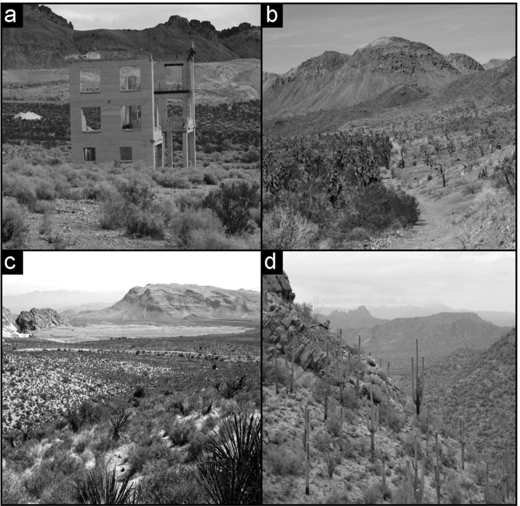 Ijerph Free Full Text Disturbance And Plant Succession In The Ijerph 07 01248f1 1024