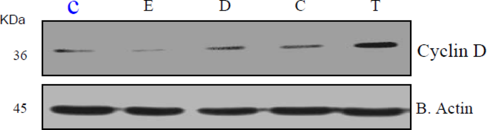 Ijerph 07 02045f6