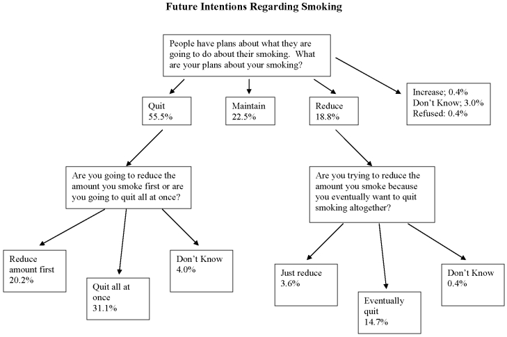 cause of smoking cigarettes essay You can't throw out a statement like cigarettes harm the environment without backing it up with some solid evidence also, people are aware of the dangers of smoking. cause of smoking cigarettes essay You can't throw out a statement like cigarettes harm the environment without backing it up with some solid evidence also, people are aware of the dangers of smoking.