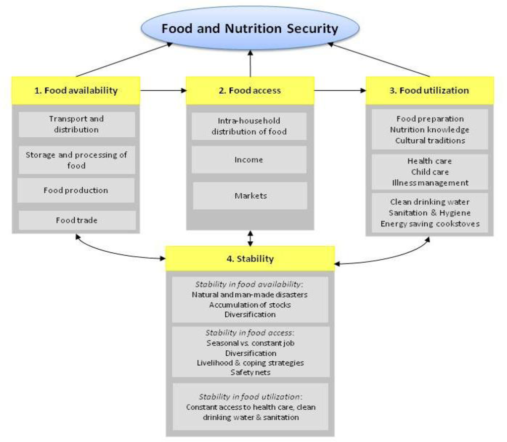 Essay on food security
